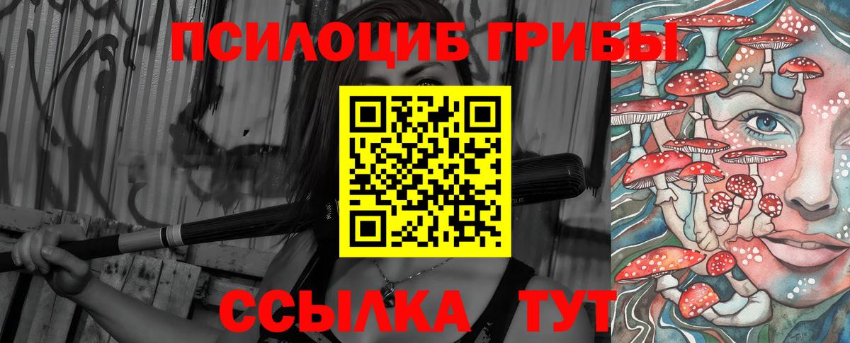 Псилоцибиновые грибы Cubensis  Вход с VPN  Батайск  где купить наркоту  Псилоцибиновые грибы мицелий 